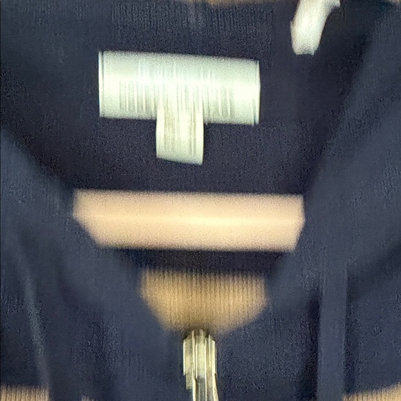 Striped Navy and Tan Hooded sweater from Anthropologie - Picture 2 of 3